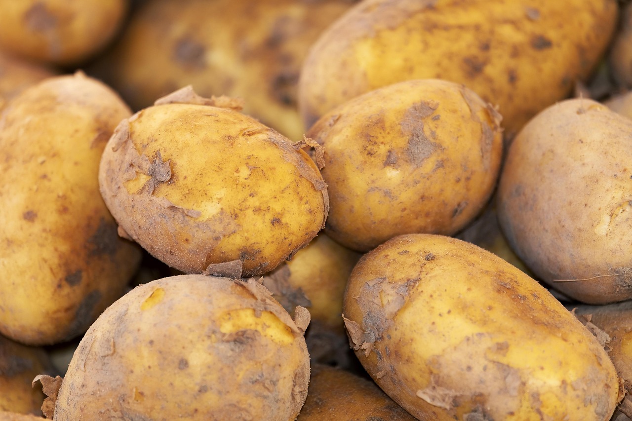Potato